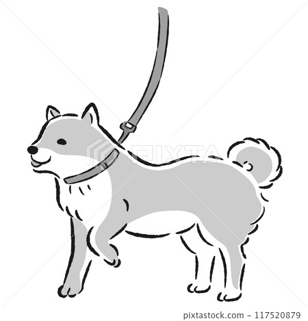 一隻柴犬散步的手繪插圖 117520879