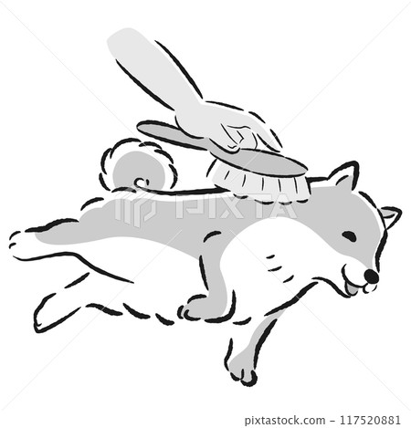 Illustration of brushing a dog Illustration of brushing a dog 117520881