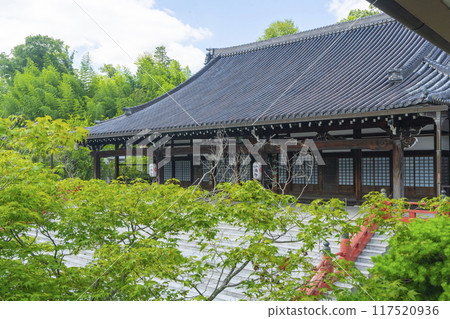 Summer Kyoto Myomanji Temple Main Hall 117520936