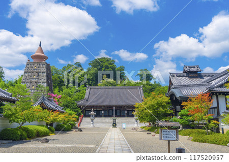 Summer Kyoto Myomanji Temple Main Hall 117520957