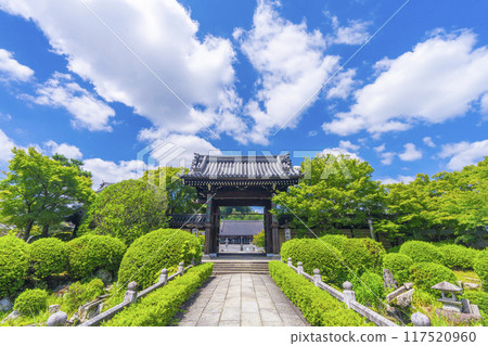 夏季京都妙滿寺參道與三門 117520960