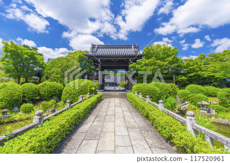 夏季京都妙滿寺參道與三門 夏季京都妙滿寺參道與三門 117520961