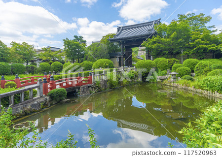 夏季京都妙滿寺參道與三門 夏季京都妙滿寺參道與三門 117520963