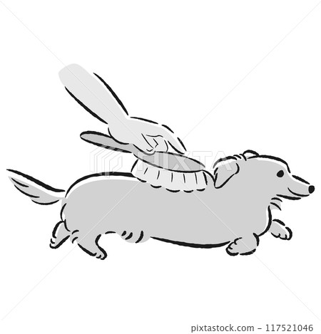 給狗狗刷毛的插圖 117521046