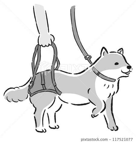 使用步行帶的狗的手繪插圖 117521077