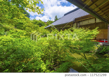 Summer in Iwakura, Kyoto: Jisso-in Temple, a landscape garden surrounded by green foliage Summer in Iwakura, Kyoto: Jisso-in Temple, a landscape garden surrounded by green foliage 117521299