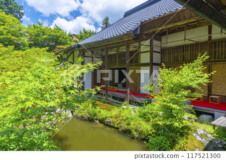 Summer in Iwakura, Kyoto: Jisso-in Temple, a landscape garden surrounded by green foliage Summer in Iwakura, Kyoto: Jisso-in Temple, a landscape garden surrounded by green foliage 117521300