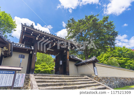Summer in Iwakura, Kyoto: Jisso-in Temple, green leaves and the temple gate 117521309