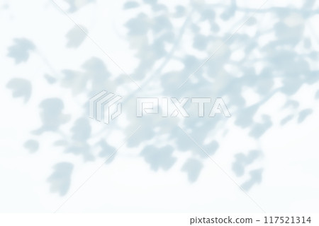 植物影光陽光 117521314