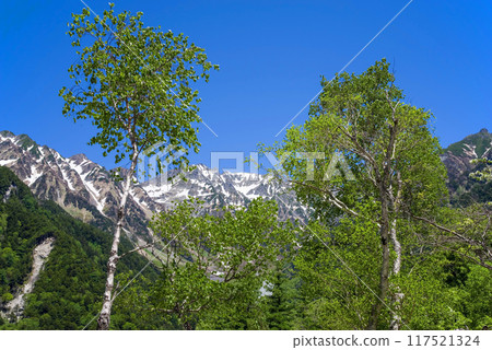 "Refreshing Kamikochi - A spectacular view in early summer" Fresh greenery near Kappa Bridge and snow-covered peaks of the Hotaka mountain range "Refreshing Kamikochi - A spectacular view in early summer" Fresh greenery near Kappa Bridge and snow-covered peaks of the Hotaka mountain range 117521324