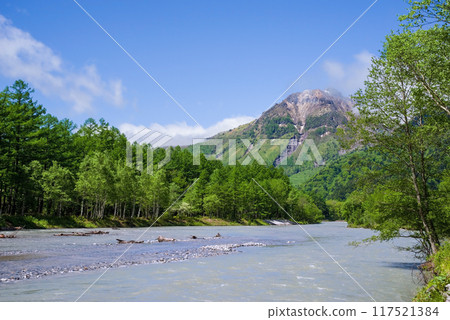 [清爽的上高地]燒嶽山和梓川沿岸的清新綠色風景 117521384