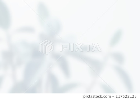 植物影光陽光 117522123