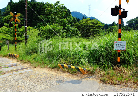 肥薩線鐵路道口（矢岳、正行島）因持續停駛而雜草叢生 117522571
