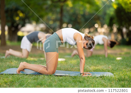 Young woman doing yoga in cat pose 117522801