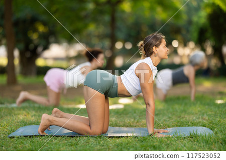 Skilled young female trainer performing cat-cow pose of yoga for group in green park at daytime Skilled young female trainer performing cat-cow pose of yoga for group in green park at daytime 117523052