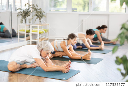 Elderly woman doing yoga in group in studio Elderly woman doing yoga in group in studio 117523377