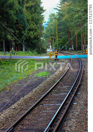 一輛當地火車穿過密林 117523795