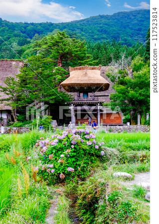 Hydrangea and Bell Tower Gate (Vertical) 117523814