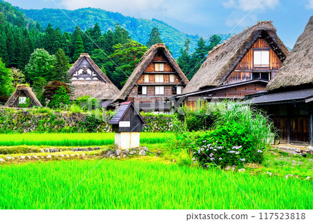 Shirakawa-go with rice fields 117523818