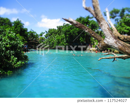 萬那杜藍潟湖西洋鏡風格 117524027