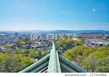 [從和歌山城俯瞰和歌山市] 和歌山縣和歌山市 117524066