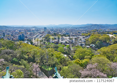 [從和歌山城俯瞰和歌山市] 和歌山縣和歌山市 117524067