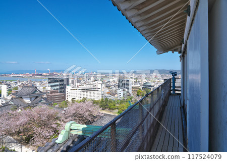 [從和歌山城俯瞰和歌山市] 和歌山縣和歌山市 117524079