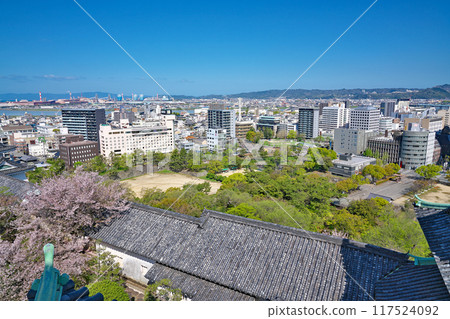 [從和歌山城俯瞰和歌山市] 和歌山縣和歌山市 117524092