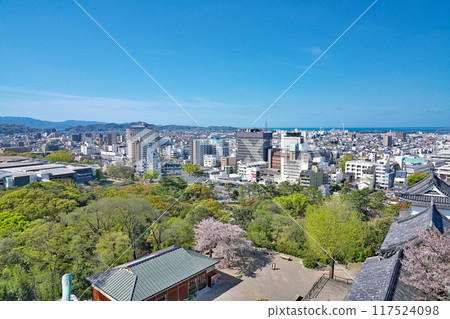 [Overlooking Wakayama City from Wakayama Castle] Wakayama City, Wakayama Prefecture 117524098
