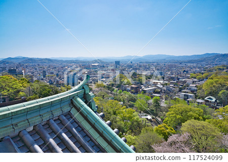 [從和歌山城俯瞰和歌山市] 和歌山縣和歌山市 117524099