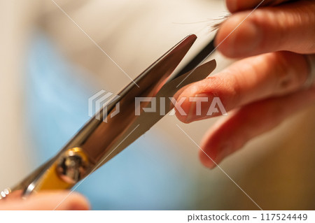 female, lady, woman 117524449