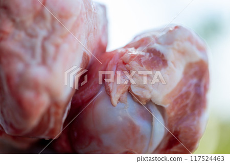 Raw Meat Dog Food - Knockout 117524463