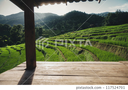 Wooden terrace at the edge of the rice field, rice terraces Wooden terrace at the edge of the rice field, rice terraces 117524701