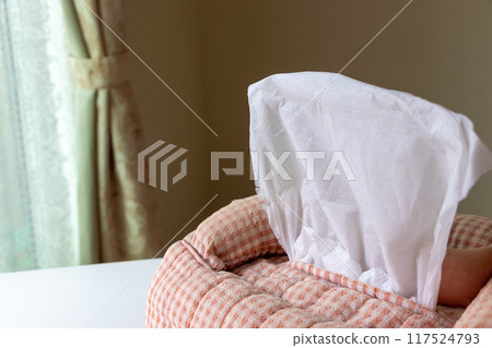 窗邊桌子上鋪著紙巾 窗邊桌子上鋪著紙巾 117524793