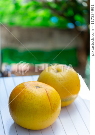 Photo of pomelo, yuzu, buntan 117524991