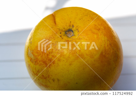 柚子柚子柚子柚子照片 柚子柚子柚子柚子照片 117524992