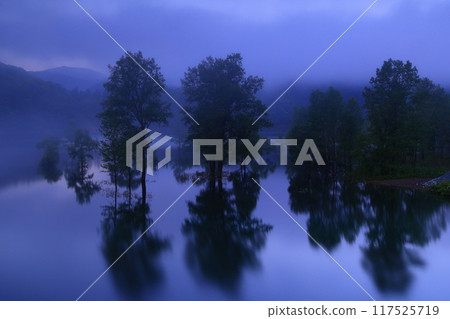 Nishiwaga Town, Iwate Prefecture, fresh green Kinshu Lake 117525719
