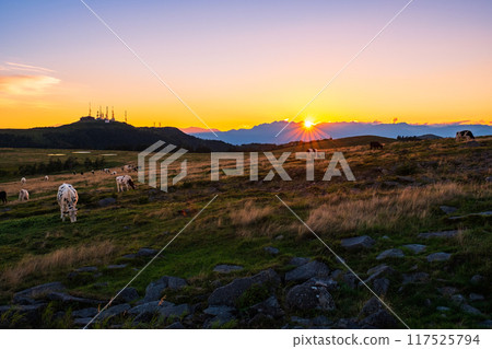 Utsukushigahara - Evening scenery 117525794