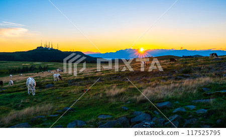 Utsukushigahara - Evening scenery 117525795