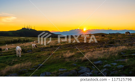 Utsukushigahara - Evening scenery Utsukushigahara - Evening scenery 117525796