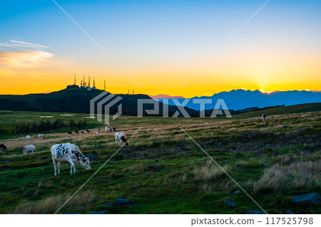 美原/日落景觀 117525798
