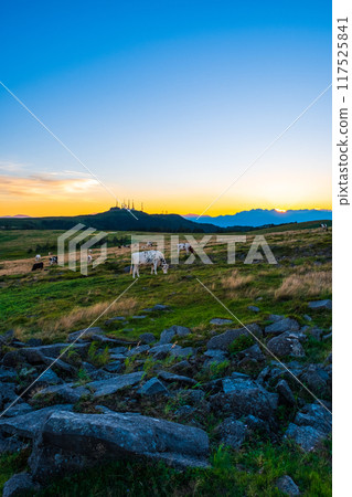 Utsukushigahara - Evening scenery 117525841