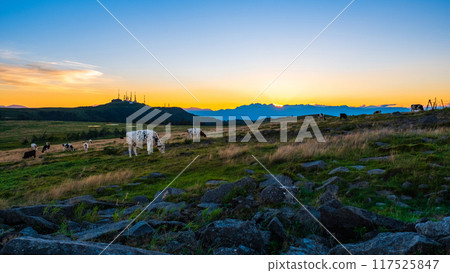 Utsukushigahara - Evening scenery 117525847