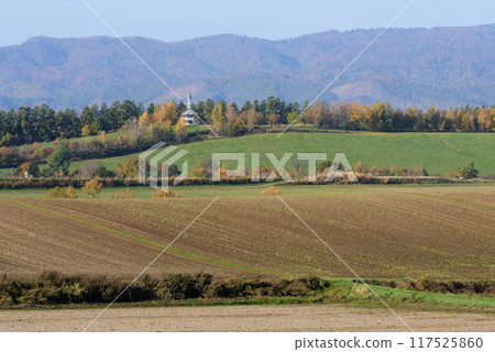 Autumn leaves in Biei on a clear autumn day Autumn leaves in Biei on a clear autumn day 117525860
