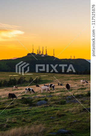 Utsukushigahara - Evening scenery Utsukushigahara - Evening scenery 117525876