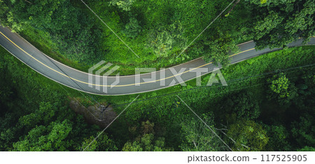 Aerial top view road In the countryside and green trees along the roadside Aerial top view road In the countryside and green trees along the roadside 117525905