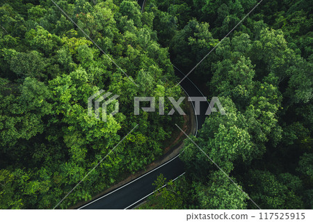 Aerial top view road In the countryside and green trees along the roadside 117525915
