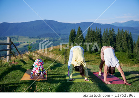 Young family doing yoga outdoors in scenic mountainous landscape in morning. Father, mother and daughter on yoga mats, with scenic view of mountains and forest in background under clear blue sky. 117525965