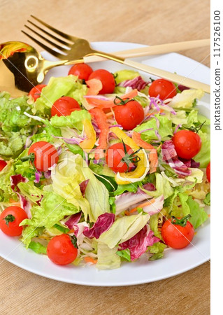 大量的蔬菜沙拉、沙拉碗以及生菜和番茄等綠色和黃色蔬菜。 117526100