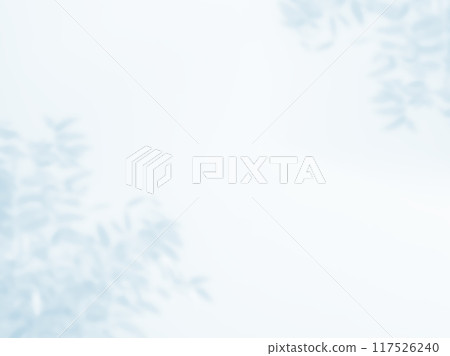 植物影光陽光 117526240